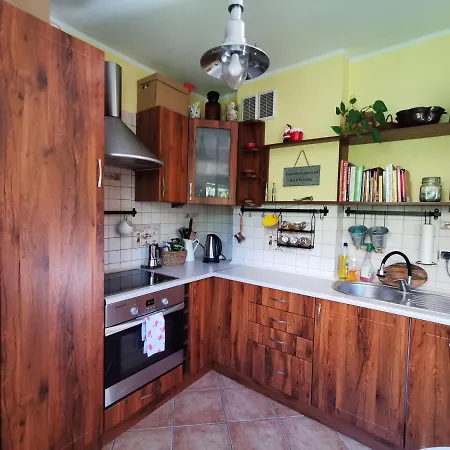 Przytulna Kawalerka Z Ogrodem * Danzig