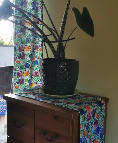 Przytulna Kawalerka Z Ogrodem Gdansk