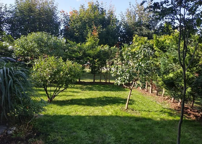 Daire Przytulna Kawalerka Z Ogrodem *