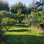 Appartement Przytulna Kawalerka Z Ogrodem *